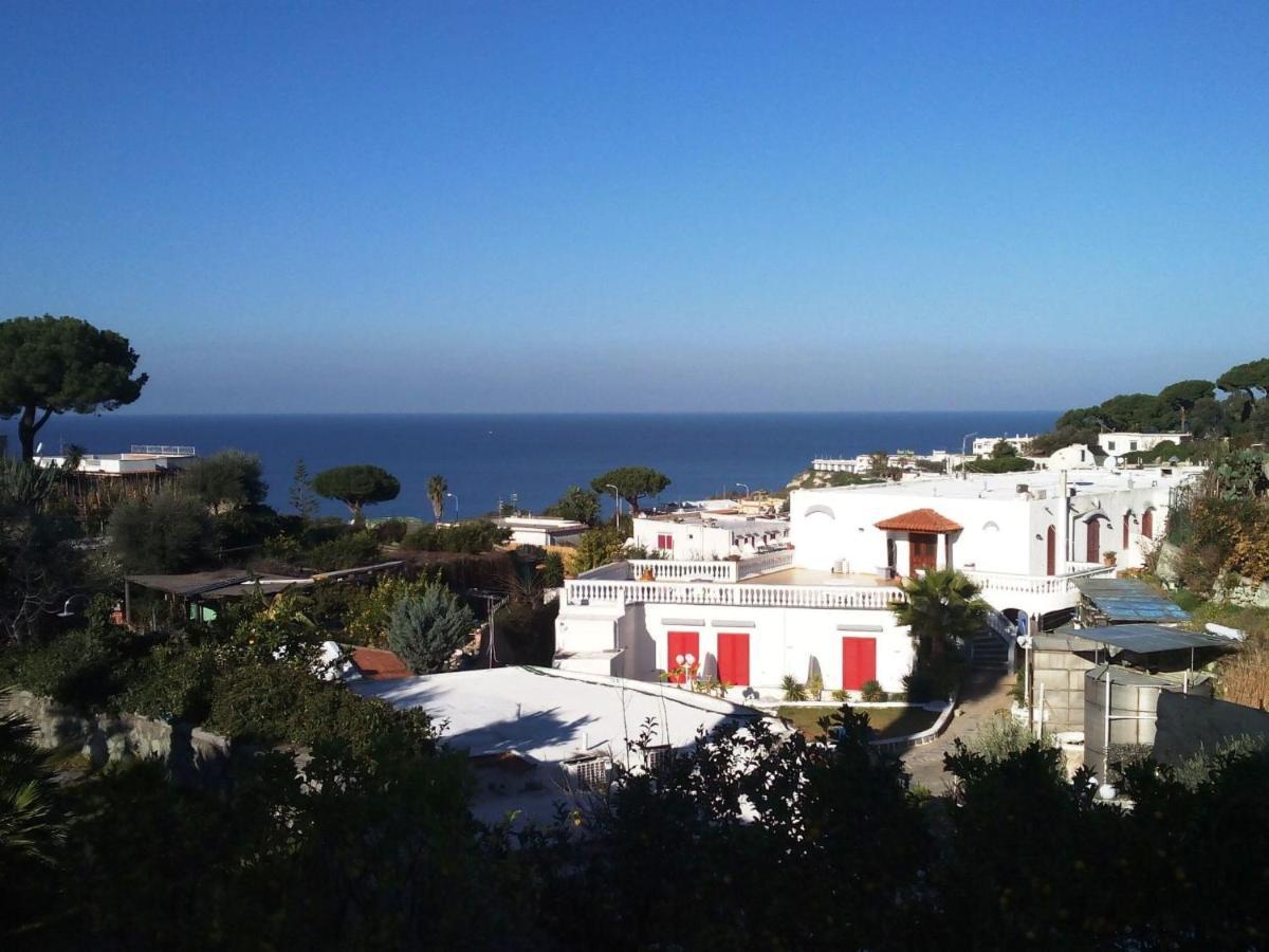 Apartment Ponente By Interhome Forio (Isola d'Ischia) Exterior foto